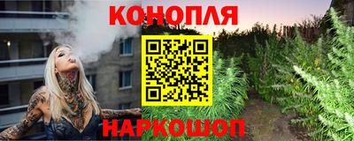 МДПВ Шелехов